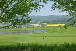 Golfplatz Otelfingen 
